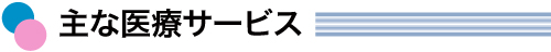 主な医療サービス